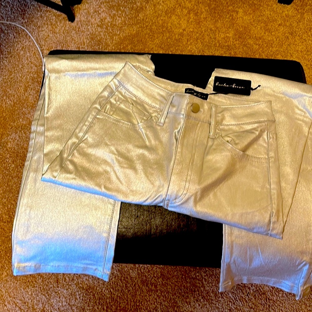 Silver Metallic 5 pocket Faux leather pants